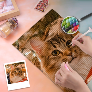 Custom 5D Diamond Painting - Cat Photo