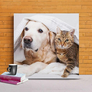 5D DIY Custom Pet Photo Diamond Painting Kit Full Square Round Rhinestone Personalized Gifts
